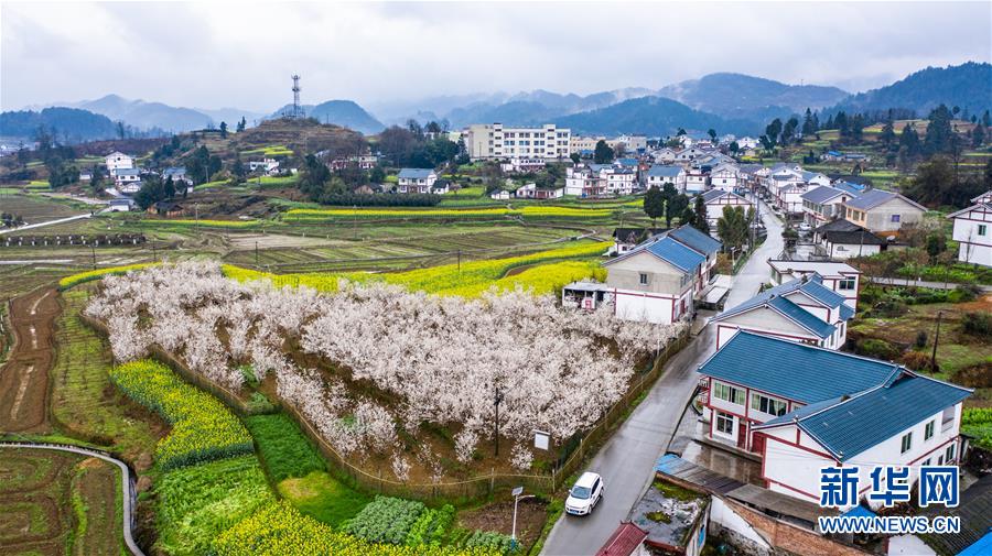 （新華全媒頭條·小康圓夢(mèng)·圖文互動(dòng)）（11）恢宏史詩(shī)耀千秋——寫(xiě)在中國(guó)共產(chǎn)黨帶領(lǐng)中國(guó)人民全面建成小康社會(huì)之際