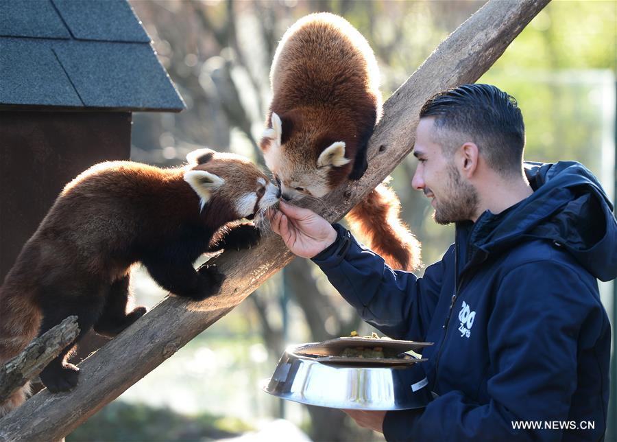 CROATIA-ZAGREB-ZOO-CHRISTMAS FOOD