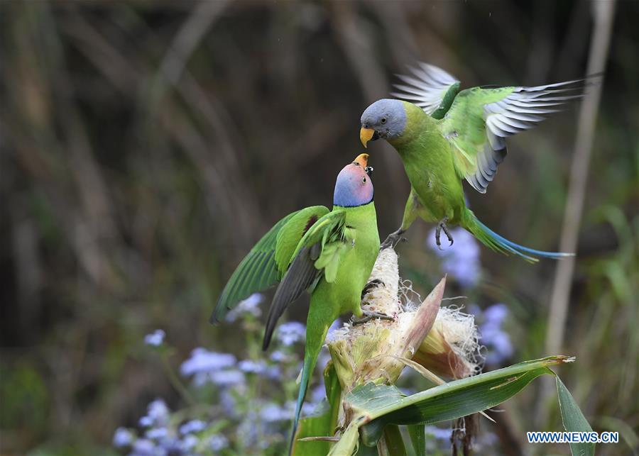 XINHUA PHOTO WEEKLY CHOICES