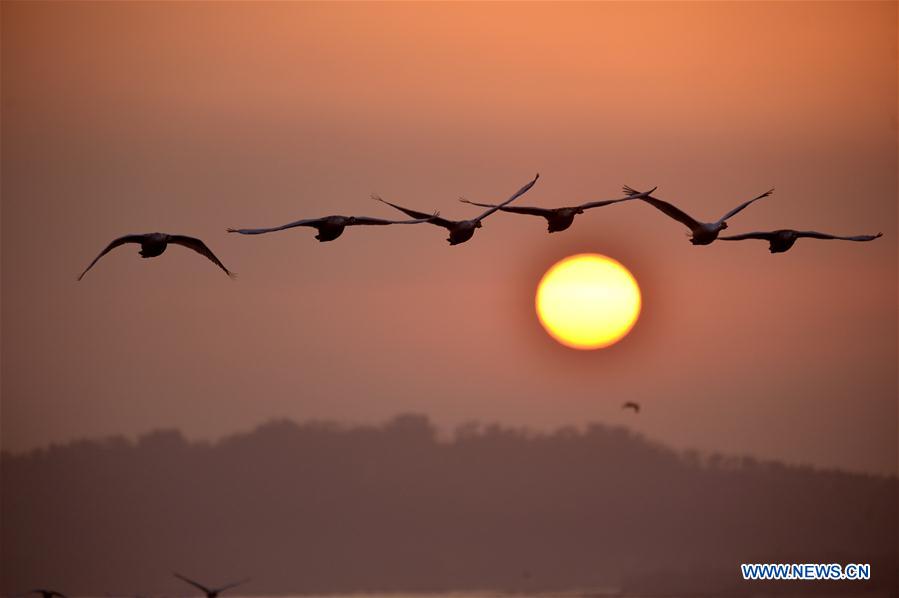 XINHUA PHOTO WEEKLY CHOICES