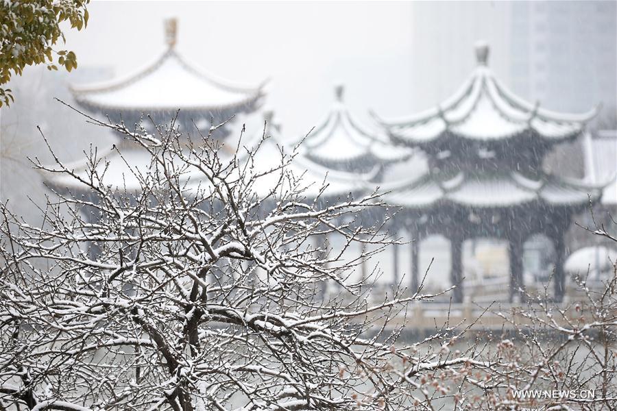 #CHINA-JIANGSU-SNOWFALL(CN)