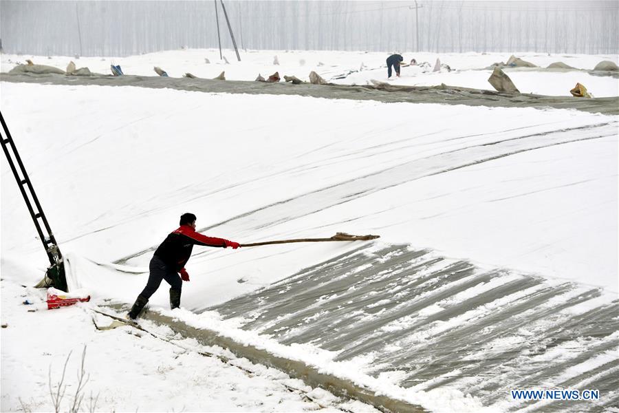 #CHINA-SHANDONG-SNOWFALL (CN)