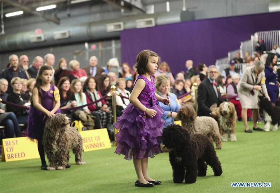 U.S.-NEW YORK-DOG SHOW