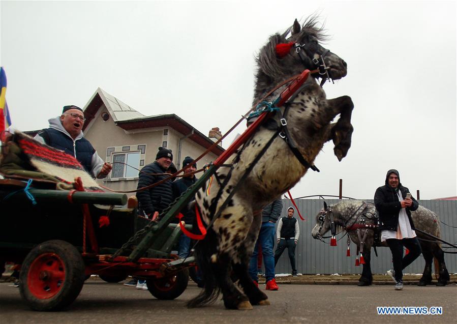 ROMANIA-TARGOVISTE-HORSE EASTER