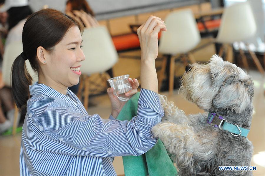 THAILAND-BANGKOK-DOG CAFE