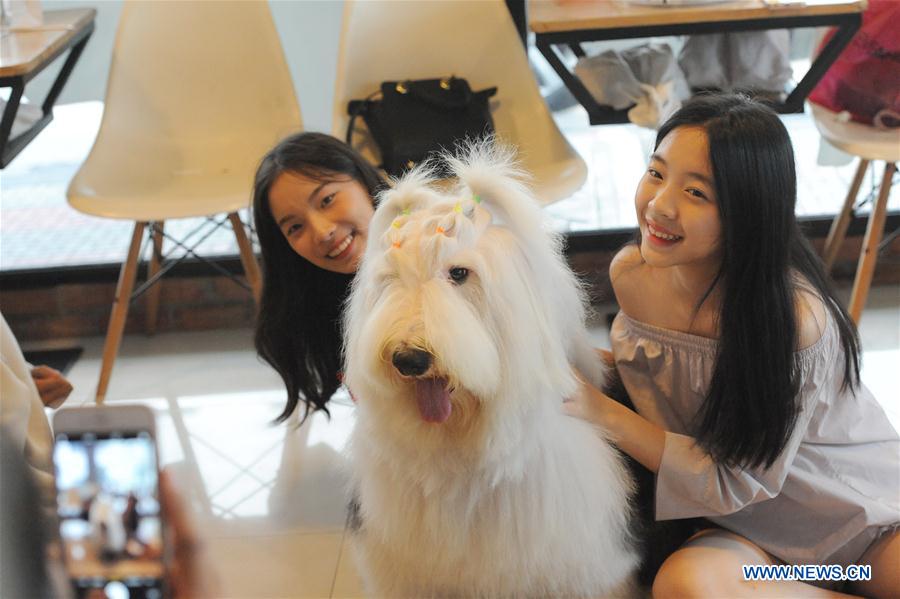 THAILAND-BANGKOK-DOG CAFE