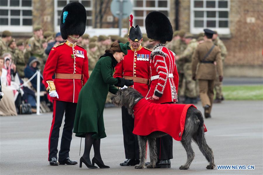 BRITAIN-LONDON-ST. PATRICK'S DAY-IRISH GUARDS-PARADE-ROYAL