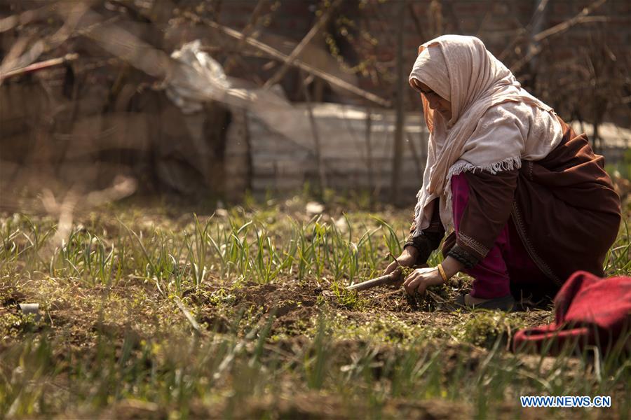 INDIA-KASHMIR-SRINAGAR-DAILY LIFE