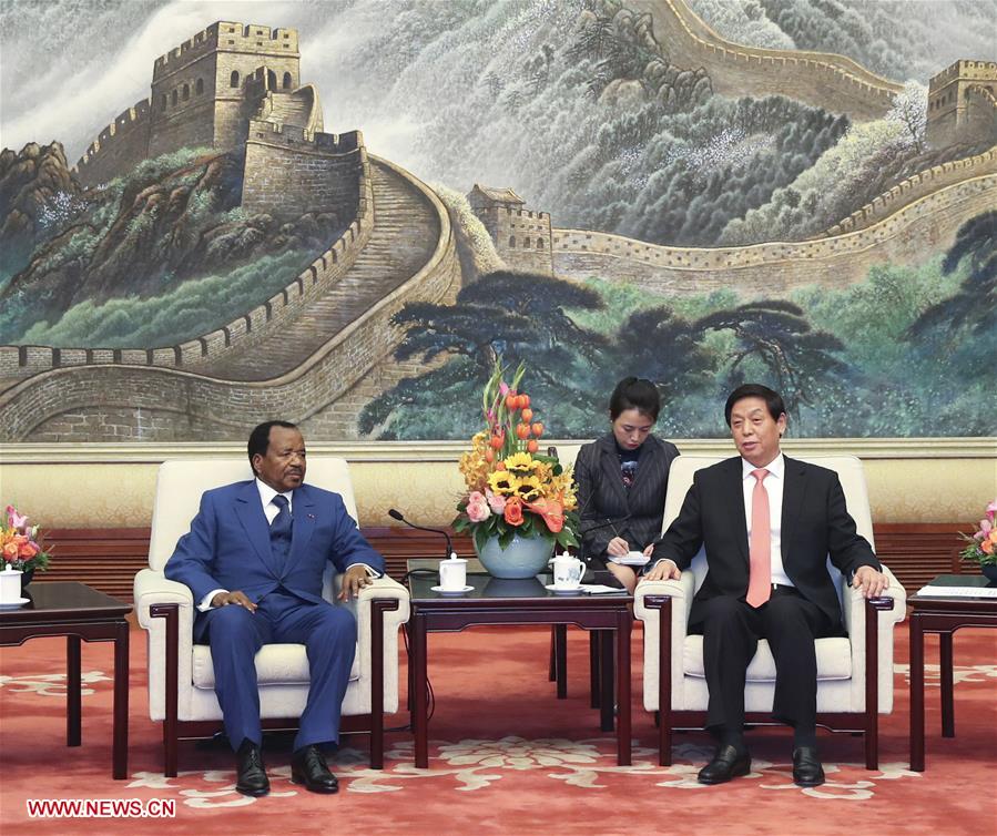 CHINA-BEIJING-LI ZHANSHU-CAMEROON-MEETING (CN)