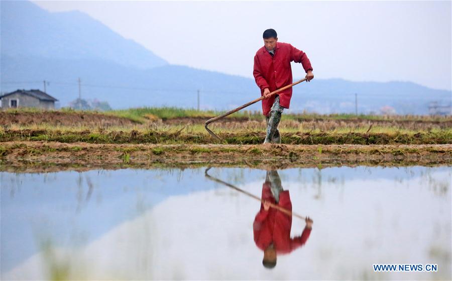 #CHINA-SPRING-FARM WORK (CN)