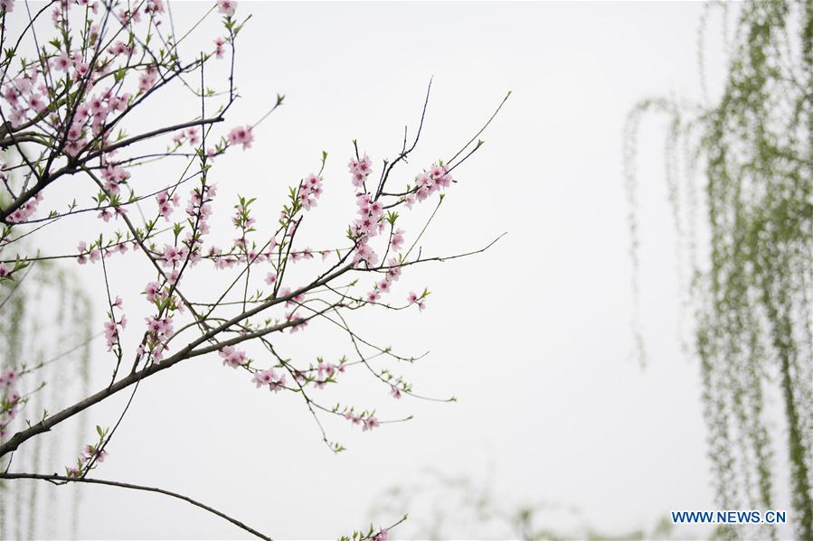 CHINA-HANGZHOU-WEST LAKE-SCENERY (CN)