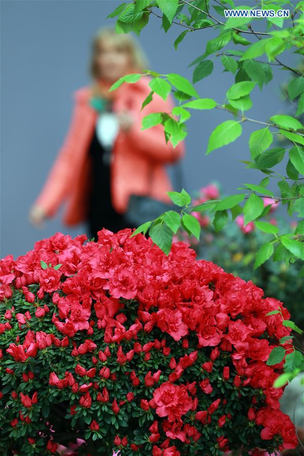 GERMANY-FRANKFURT-FLOWER EXHIBITION