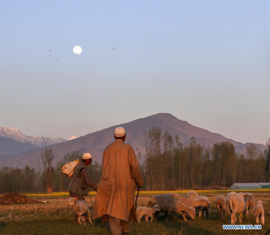 KASHMIR-SRINAGAR-DAILY LIFE