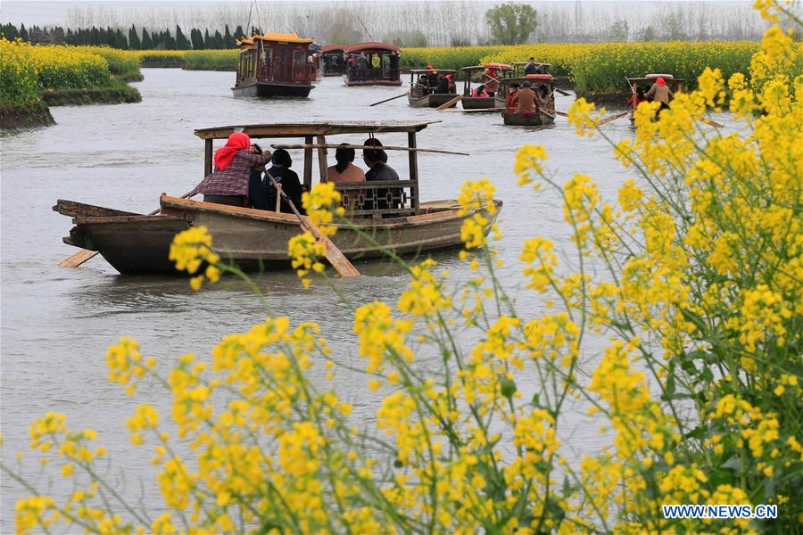 #CHINA-JIANGSU-COLE FLOWER-SCENERY-TOURISM (CN)