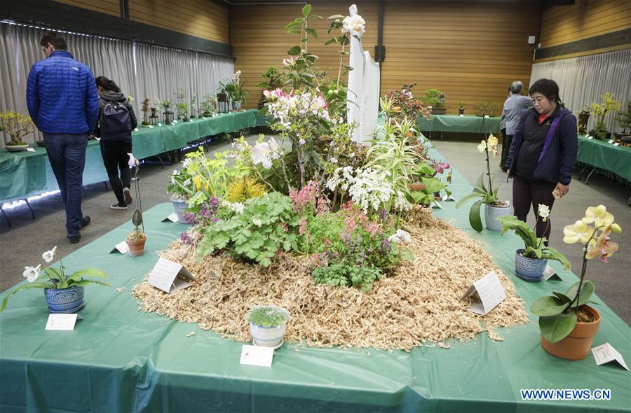 CANADA-VANCOUVER-BONSAI AND FLOWER EXHIBITION