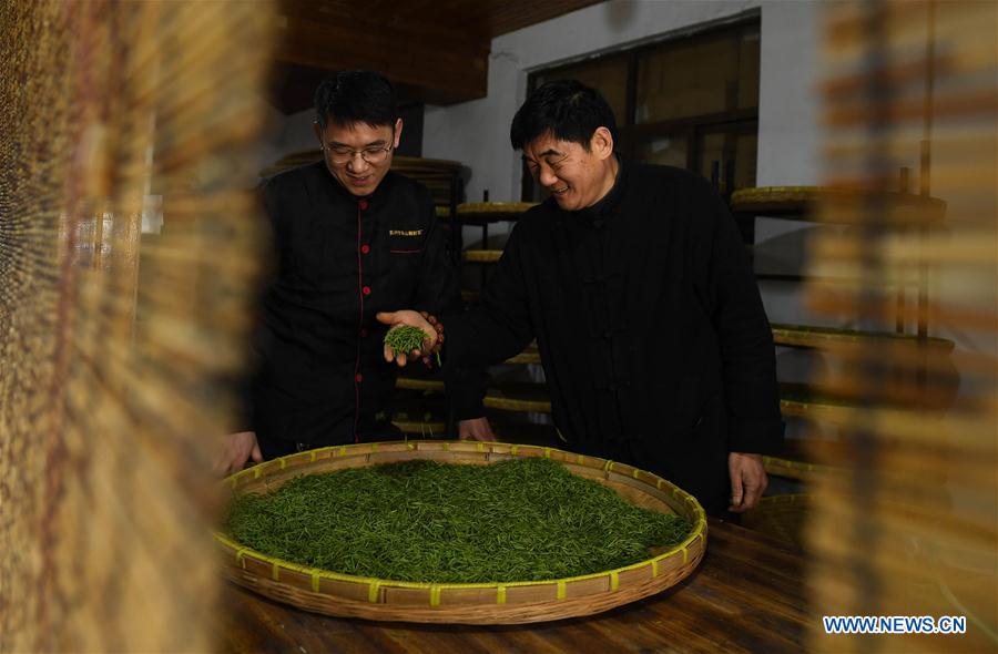 CHINA-JIANGSU-SUZHOU-TEA-MAKING (CN)