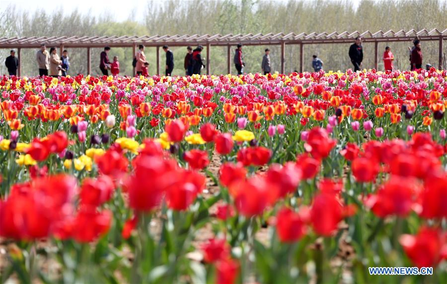 #CHINA-SPRING LEISURE (CN)