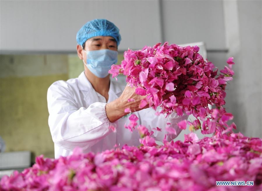 #CHINA-GUIZHOU-FLOWER INDUSTRY (CN)