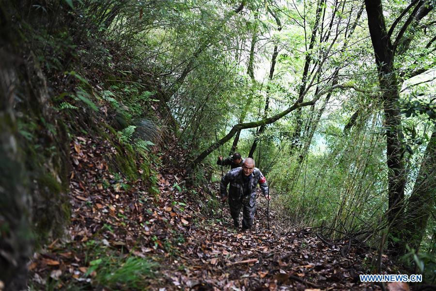 CHINA-CHONGQING-WUXI-FOREST-PROTECTION-RANGER (CN) 