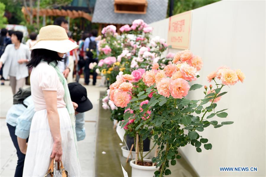 JAPAN-SAITAMA-INTERNATIONAL ROSES AND GARDENING SHOW