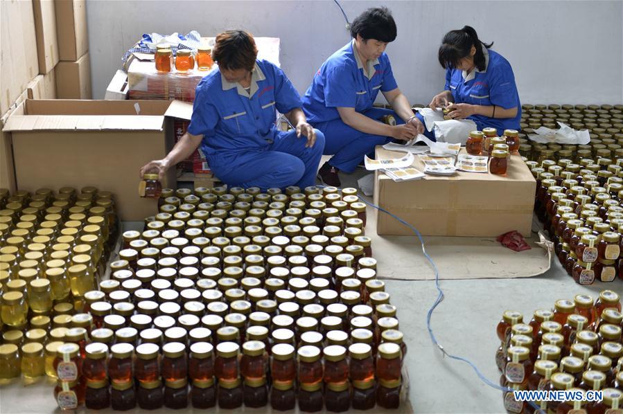 CHINA-HEBEI-XINGTAI-HONEY (CN)