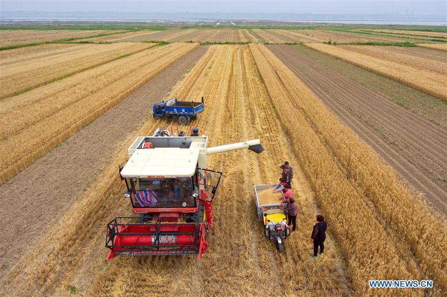 CHINA-SHANXI-WHEAT-HARVEST (CN)