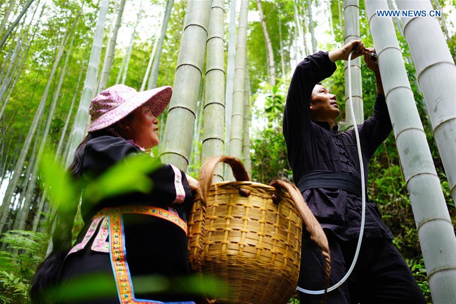 #CHINA-GUANGXI-BAMBOO WINE INDUSTRY (CN)