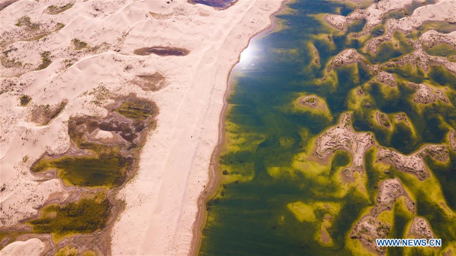 CHINA-INNER MONGOLIA-ORDOS-DESERT-WETLAND (CN)