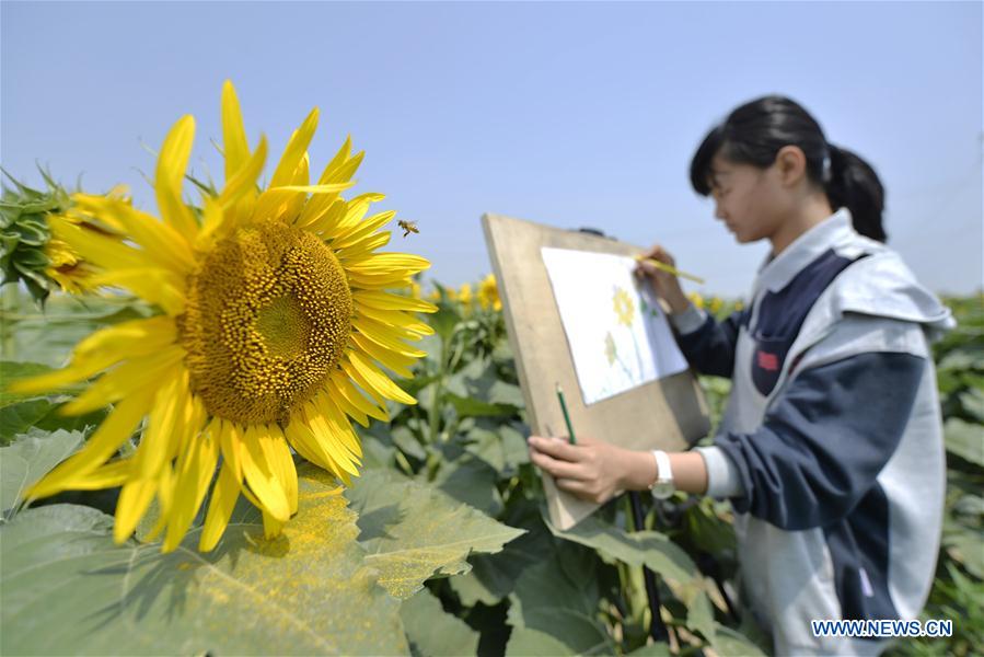 CHINA-HEBEI-NANGONG-RURAL ECONOMY-TOURISM (CN)