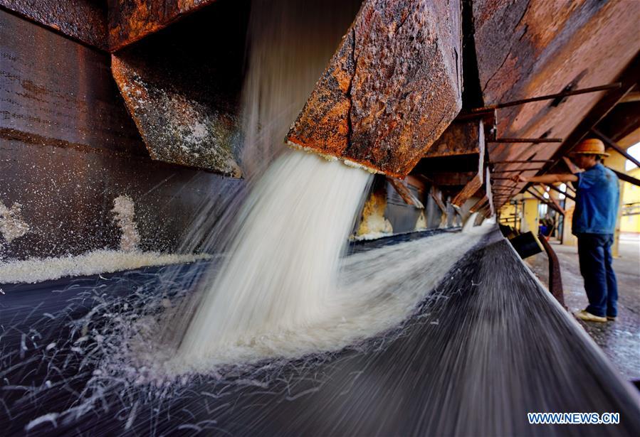 CHINA-HEBEI-TANGSHAN-SEA SALT HARVEST (CN)