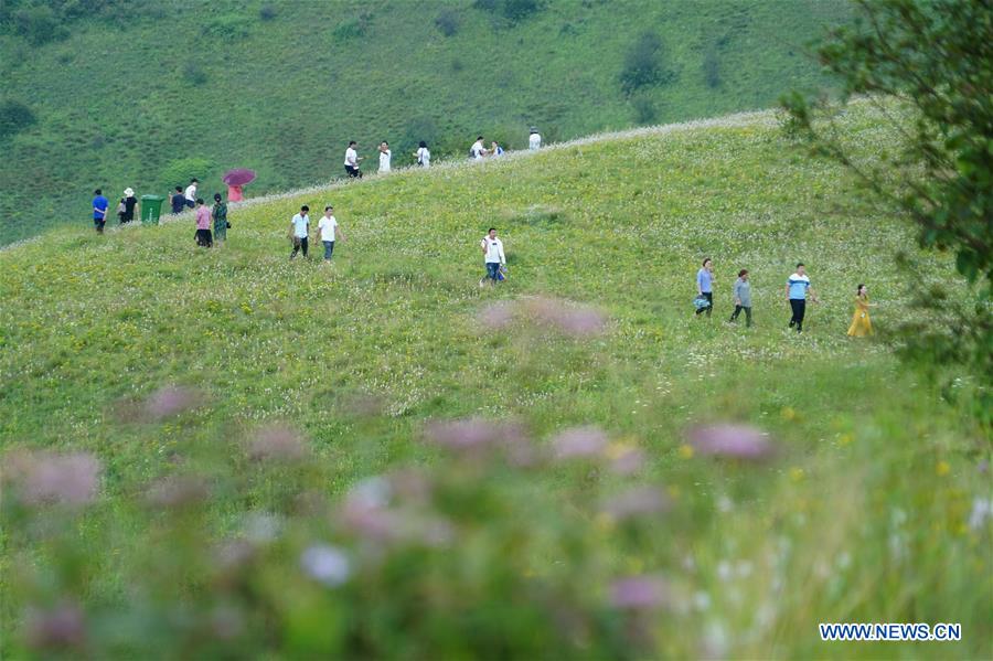 CHINA-ANKANG-PRAIRIE-TOURISM (CN)