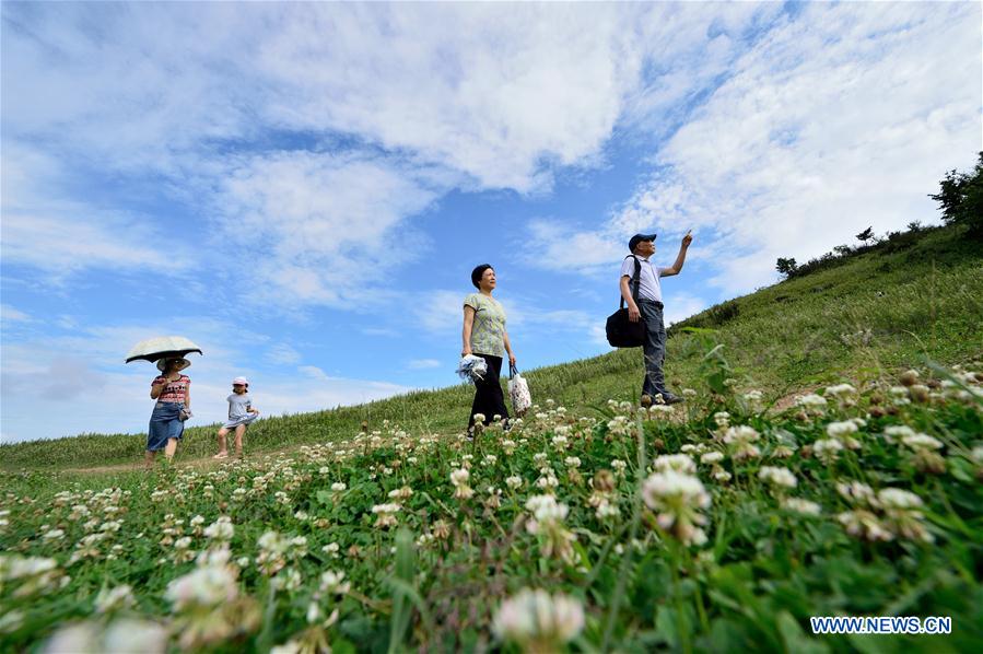 #CHINA-HUBEI-GRASSLAND (CN)