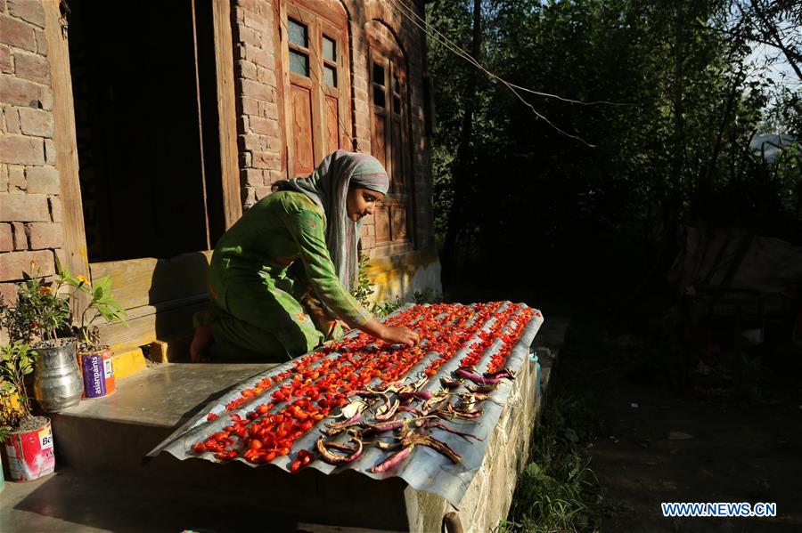 INDIAN-CONTROLLED KASHMIR-SRINAGAR-DAILY LIFE