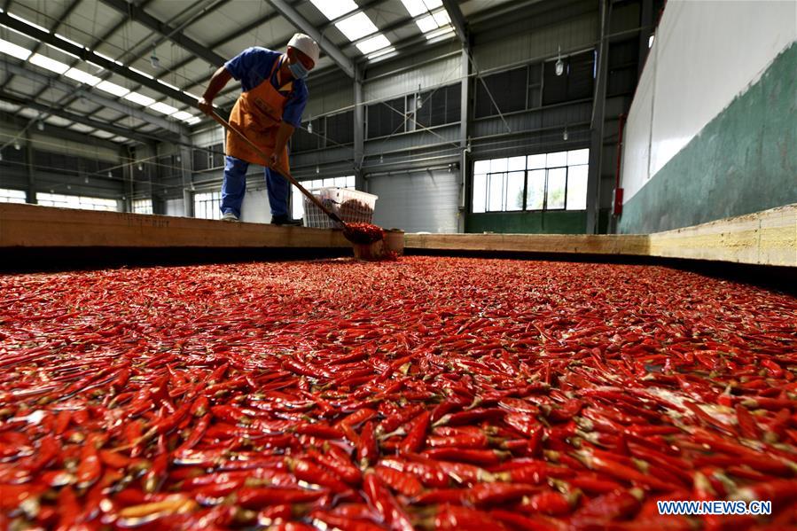 #CHINA-GUIZHOU-ZUNYI-PEPPER INDUSTRY (CN)