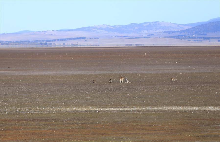 AUSTRALIA-LAKE GEORGE-DROUGHT