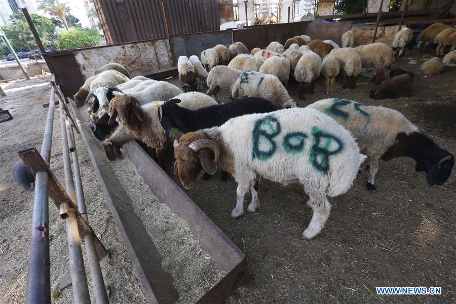 LEBANON-BEIRUT-EID AL-ADHA-PREPARATION