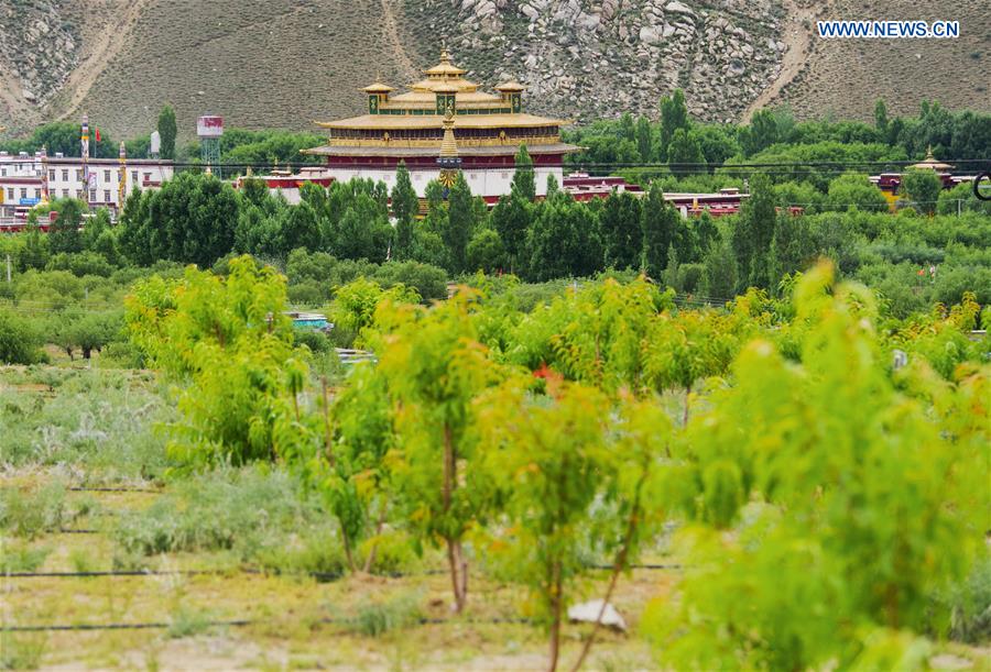 CHINA-TIBET-YARLUNG ZANGBO RIVER-SAND CONTROL (CN)