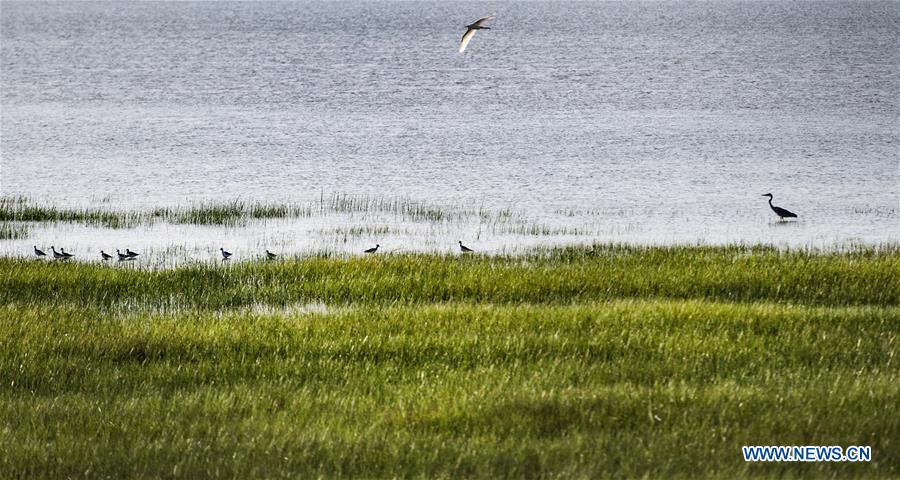 CHINA-SHANXI-HULIUHE WETLAND-SCENERY (CN)