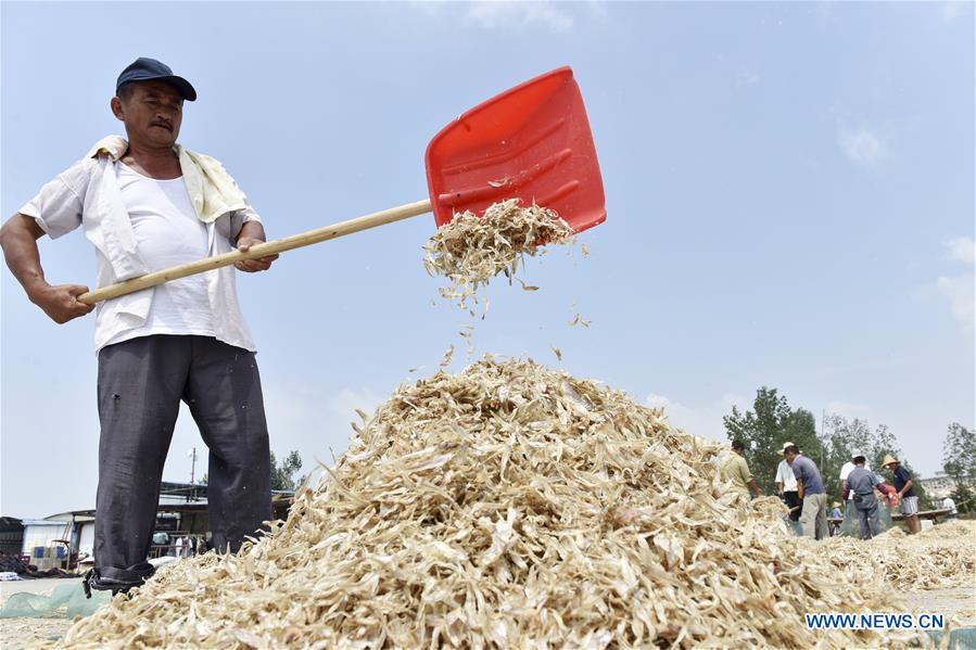 #CHINA-ANHUI-CHAOHU LAKE-FISHERY-PRODUCTION (CN)