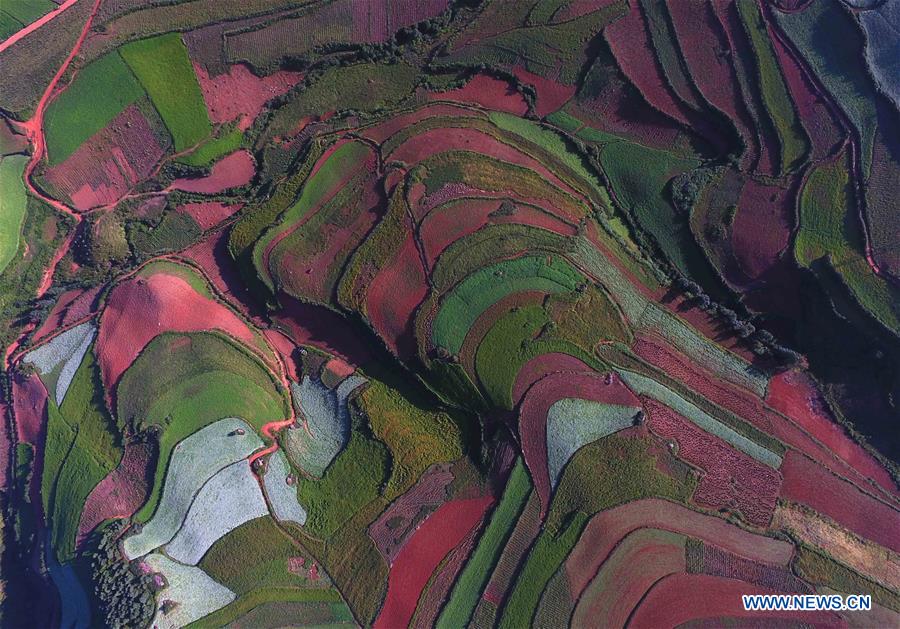 CHINA-YUNNAN-DONGCHUAN RED LAND-SCENERY (CN)