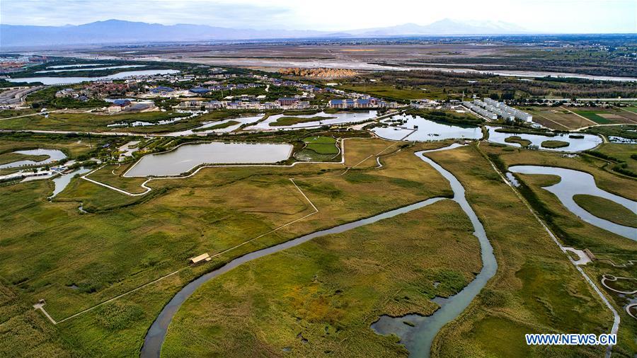 CHINA-GANSU-ZHANGYE-WETLAND (CN)