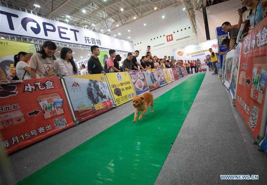 #CHINA-WUHAN-INTERNATIONAL PET INDUSTRY FAIR (CN)