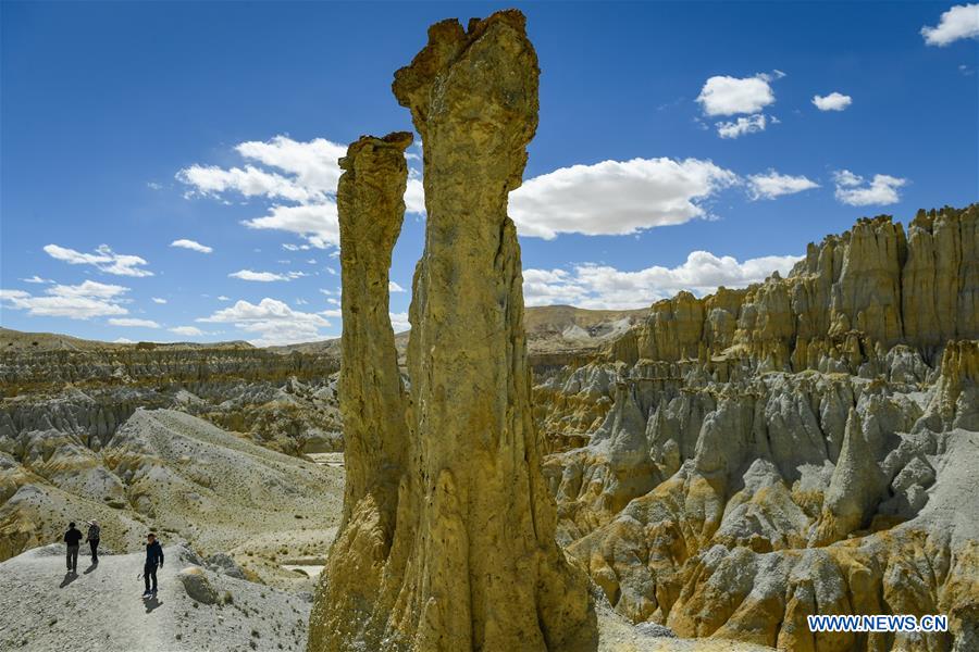 CHINA-TIBET-ALI-SCENERY-EARTH FOREST (CN)