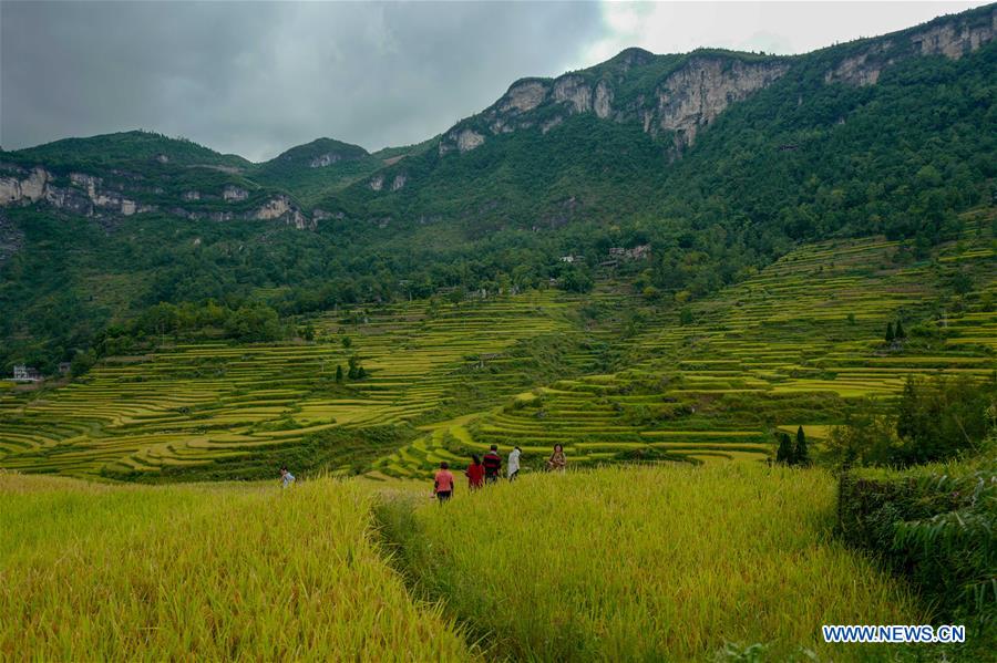 CHINA-CHONGQING-FARMWORK-TOURISM (CN)