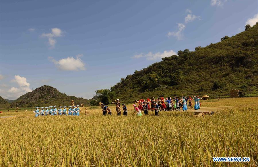 CHINA-YUNNAN-HARVEST-PERFORMANCE (CN)