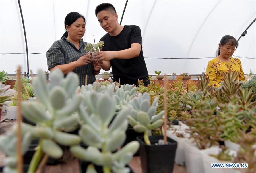 CHINA-JIANGXI-SUCCULENT PLANTS (CN)