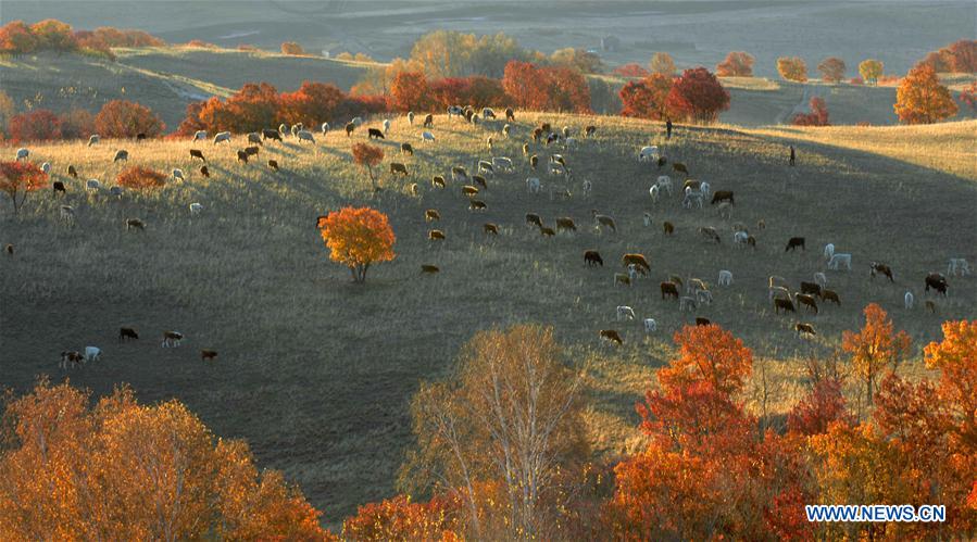 #CHINA-HEBEI-SAIHANBA-SCENERY (CN)