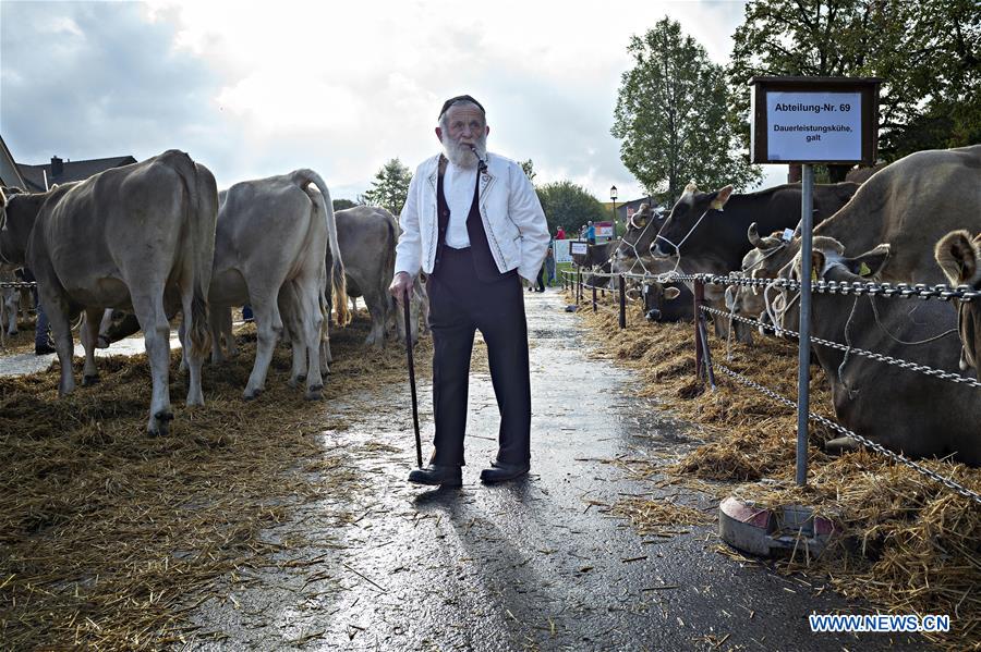 SWITZERLAND-APPENZELL-CATTLE SHOW