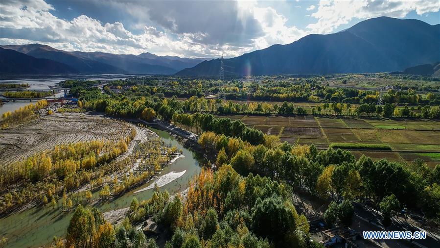 CHINA-TIBET-AUTUMN-SCENERY (CN)