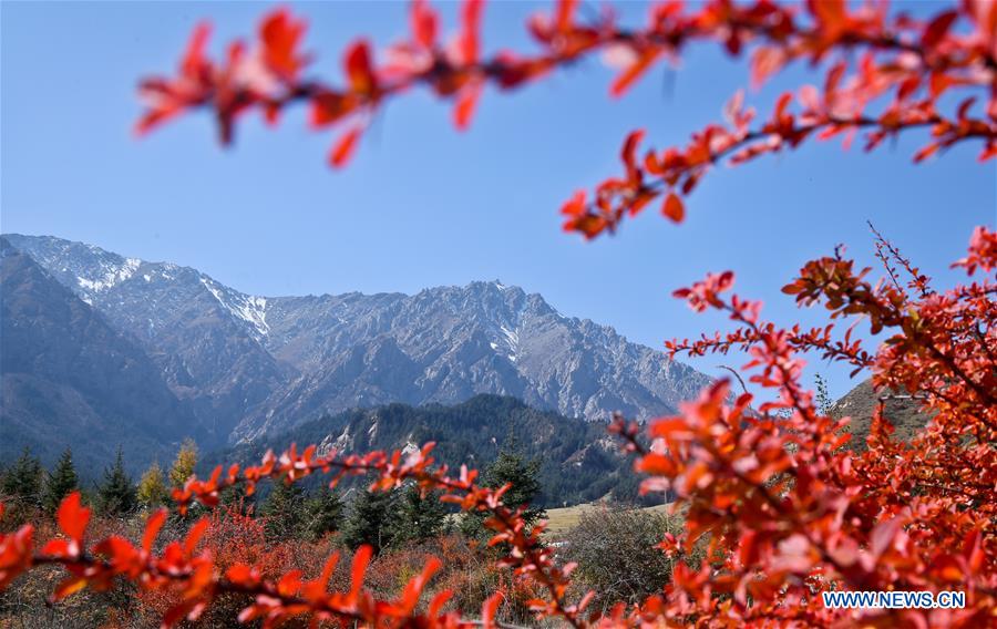 #CHINA-ZHANGYE-QILIAN MOUNTAINS-SCENERY (CN)